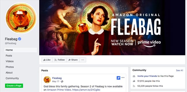 090959 group facebook fleabag