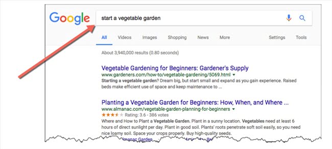 100800 search marketing vegetable garden