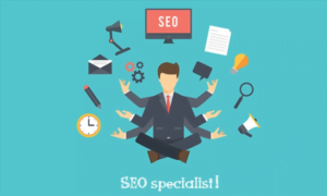 100849 seo specialist