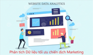 Phân tích dữ liệu website giúp tối ưu hóa chiến dịch digital marketing