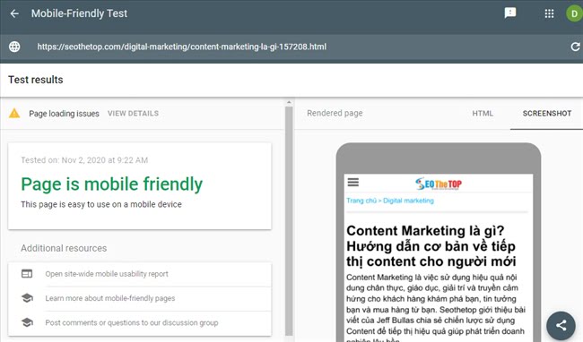 101117 test mobile friendly seothetop