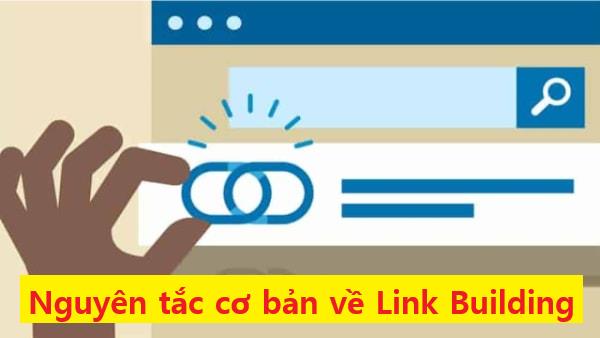 Hiểu các nguyên tắc cơ bản để build link tốt hơn