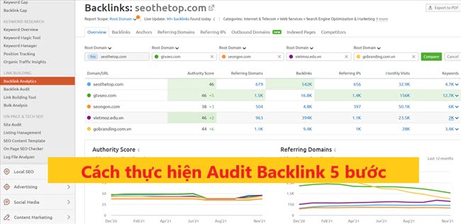 151146 audit backlink seothetop 1