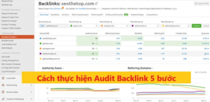 151146 audit backlink seothetop