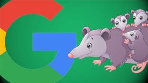 Thuật toán Google Possum